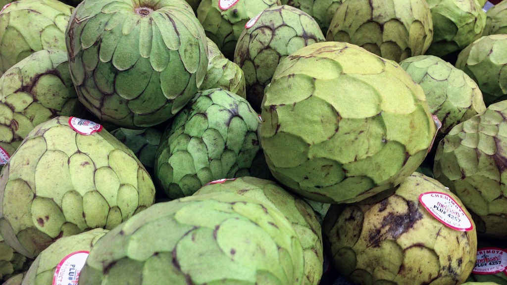 Cherimoia previne a anemia: veja 15 benefícios da fruta