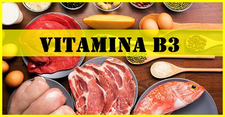 quais os benefícios da vitamina B3?