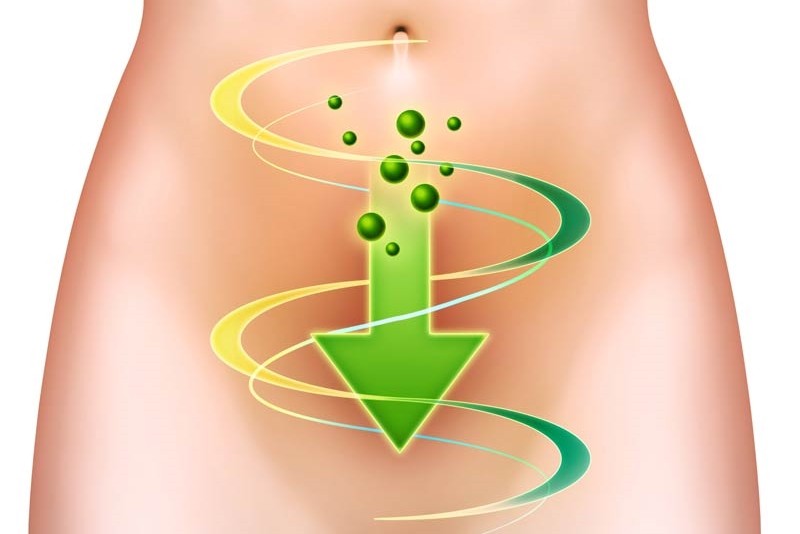 como desintoxicar o organismo rapidamente