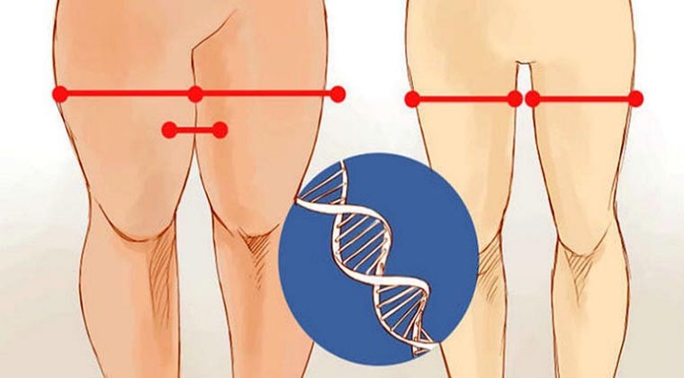 Como emagrecer as pernas e coxas de forma rápida: passo a passo