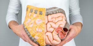 como melhorar o funcionamento do intestino
