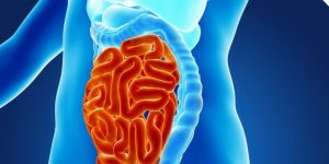 como se livrar da infecção intestinal naturalmente