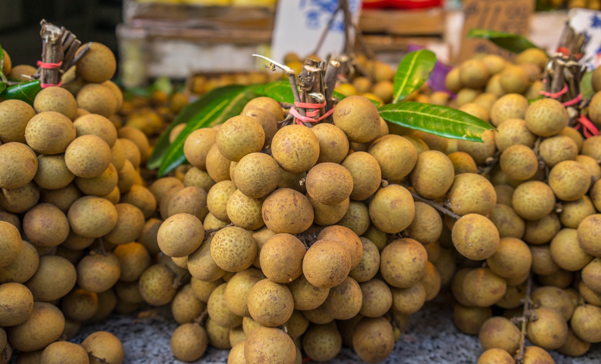 Fruta longan faz bem para a imunidade: veja 11 benefícios da fruta