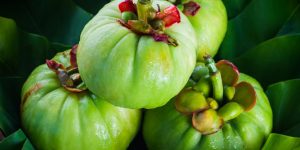 garcinia cambogia beneficio