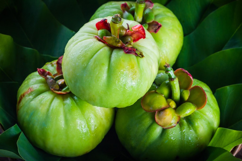 garcinia cambogia beneficio