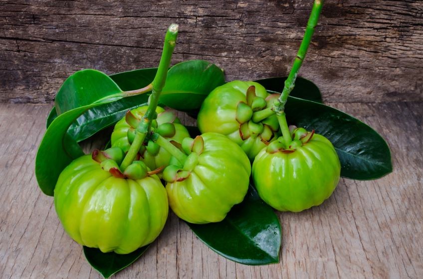 Garcínia cambogia auxilia na perda de peso: veja os benefícios da fruta