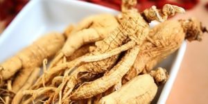 ginseng indiano