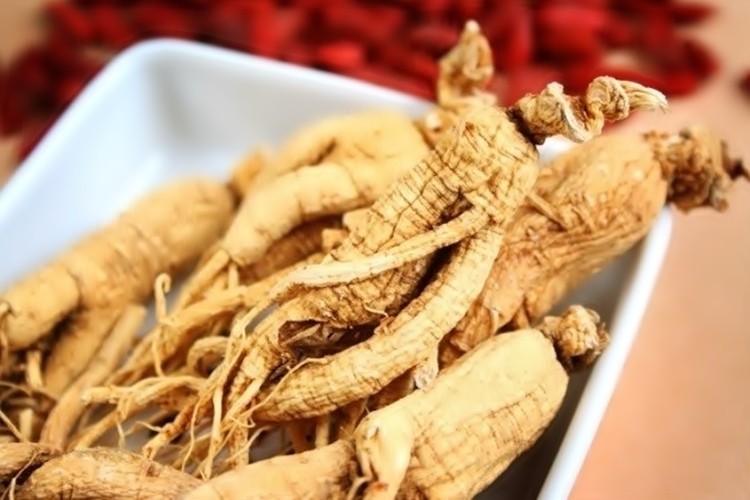 ginseng indiano