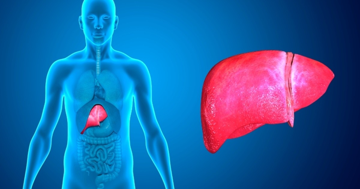 Hepatite D: o que é, causas, sintomas e tratamentos