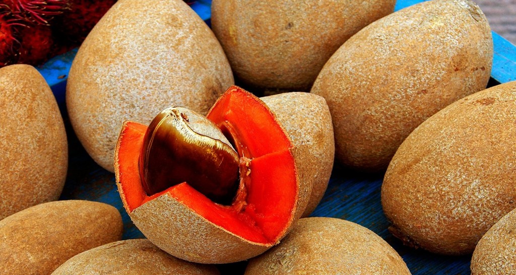 Mamey é bom para visão, pele e digestão: veja 10 benefícios da fruta