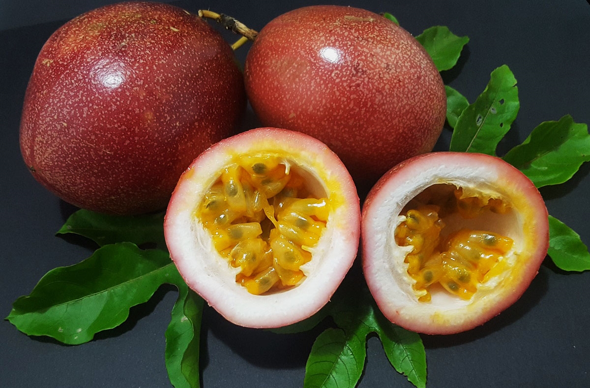 Maracujá roxo combate derrames: veja 32 benefícios da fruta