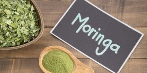 quais os benefícios da moringa?