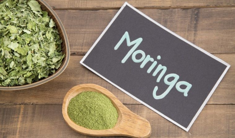 quais os benefícios da moringa?