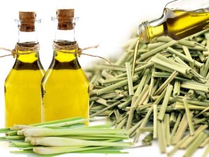 Óleo de Lemongrass Auxilia no tratamento da acne: veja 12 benefícios