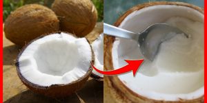 polpa do coco beneficios