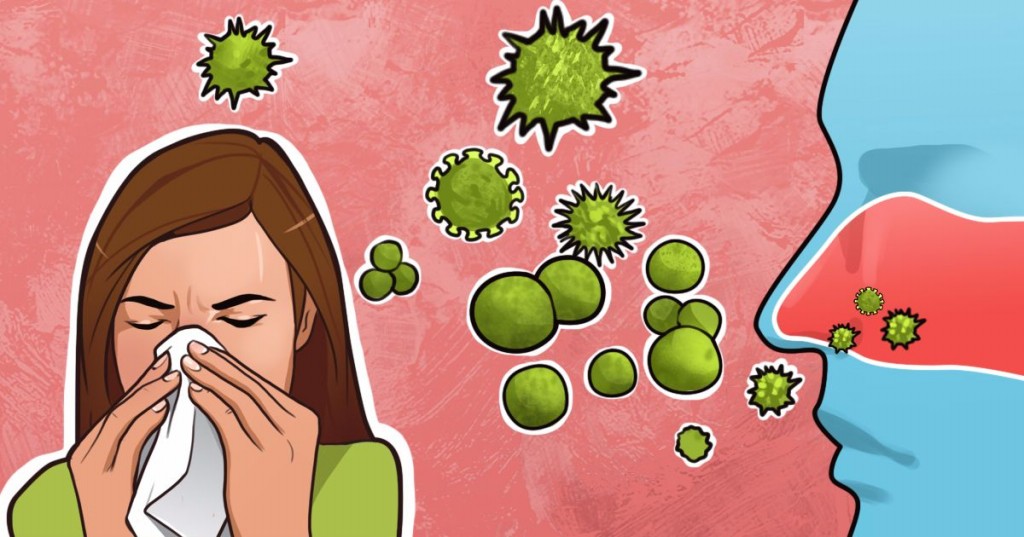 Remédios caseiros para combater alergias: como usar, dicas e receitas