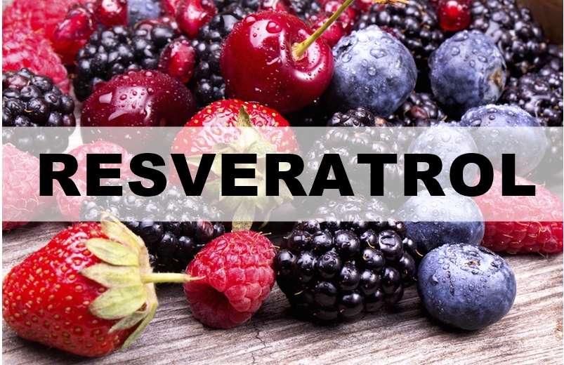 Resveratrol: o que é, fontes, benefícios e malefícios