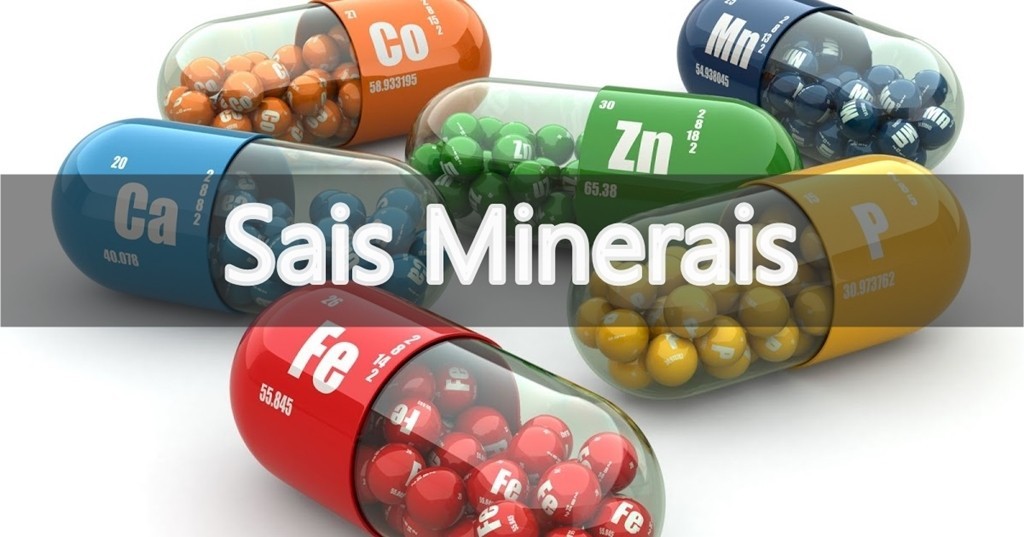 sais minerais