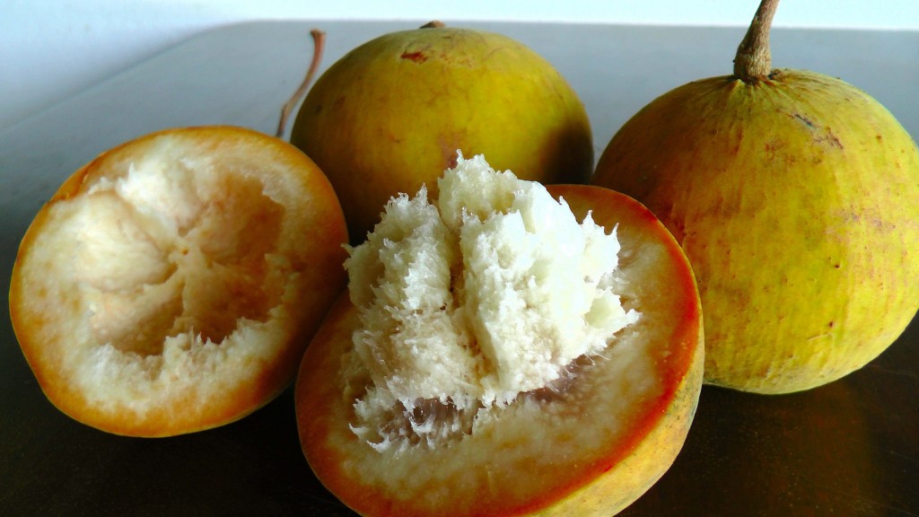 benefícios da santol