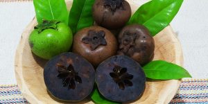 quais os benefícios do sapote preto?