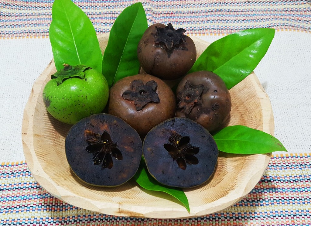 quais os benefícios do sapote preto?