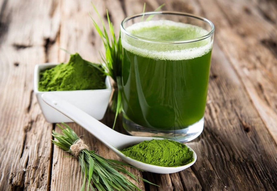 10 razões para comer uma colher de spirulina diariamente