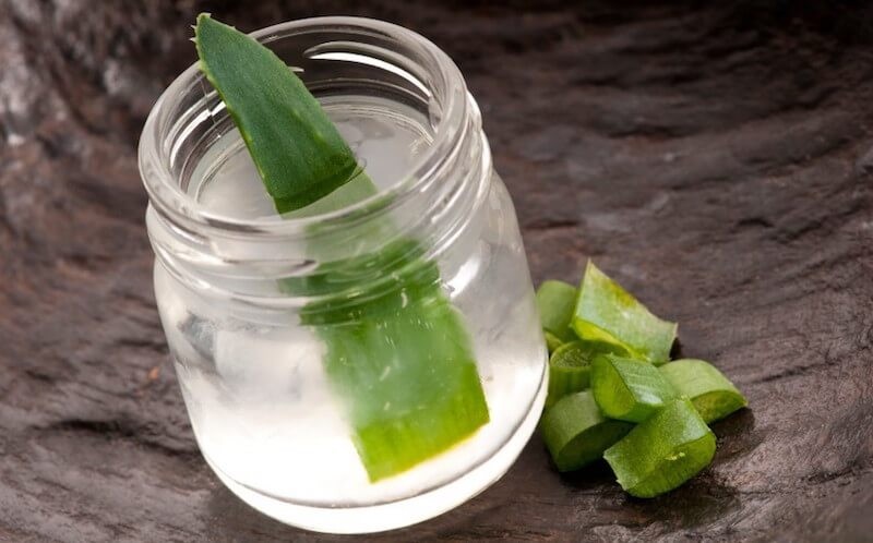 Suco de aloe vera combate a constipação: veja os benefícios