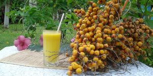 suco de butia