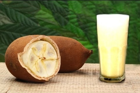 Suco de cupuaçu é bom para o metabolismo: veja 30 benefícios 