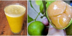 quais os benefícios do suco de mamoncillo?