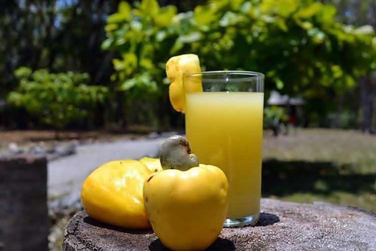 Suco do caju é bom para visão: veja 20 benefícios