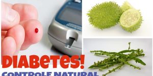 remedios caseiro para tratar o diabetes