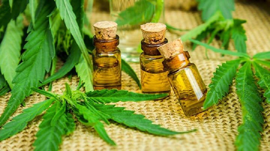 Óleo de Canabidiol: Para que serve, valor nutricional e benefícios ...