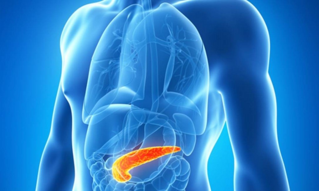 tratamento para cancer de pancreas