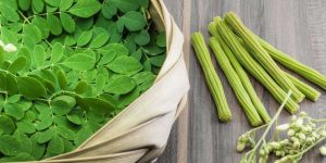 Moringa