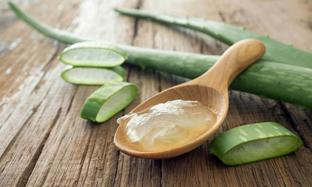 6 maneiras de usar aloe vera e melhorar sua saúde