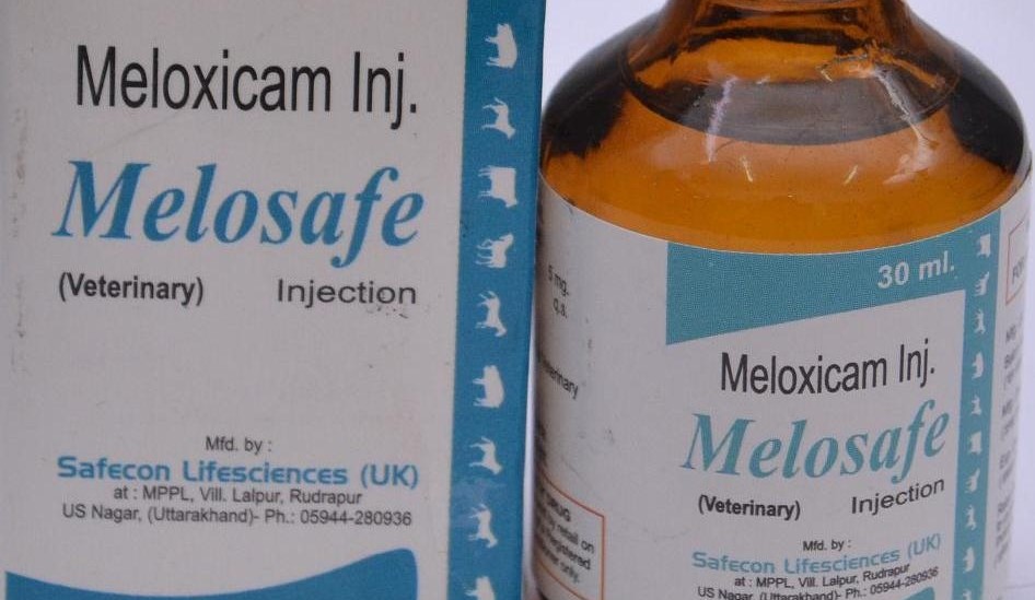  Meloxicam: para que serve, como usar e malefícios